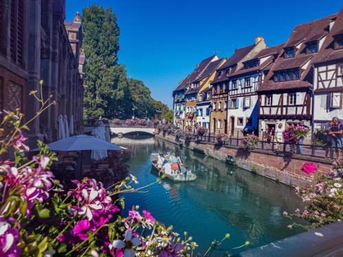 L'écolier - A 1 minute de la Petite Venise - image 4