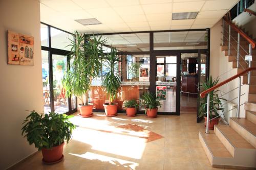Hotel Grand - image 6
