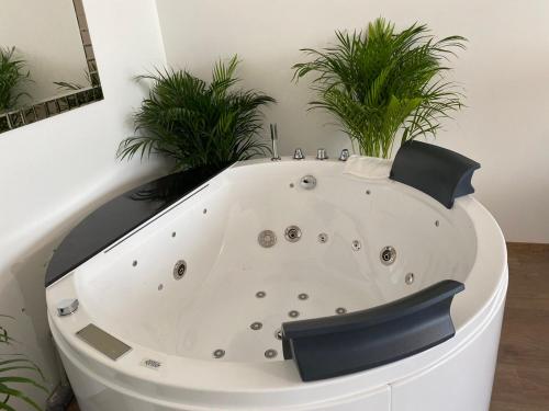 Die Oase - Luxurious Apartment near the City Center with Free Parking, Bratislava (fotografie 5)