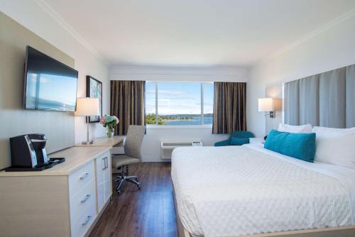 King Room with Harbor View