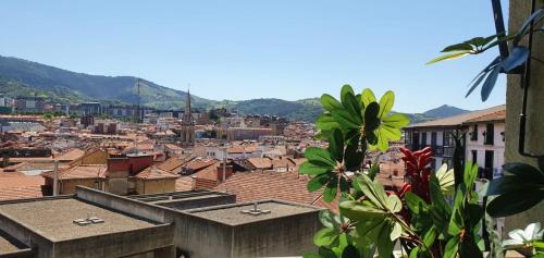 Bilbao Sensations.OLD TOWN exclusive views&parking