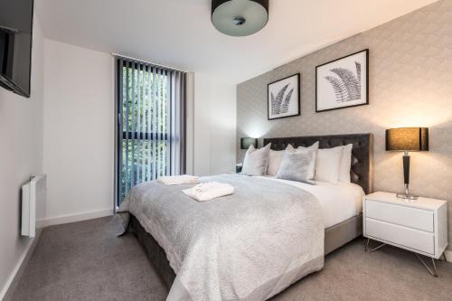 Luxury Apt with Free Parking