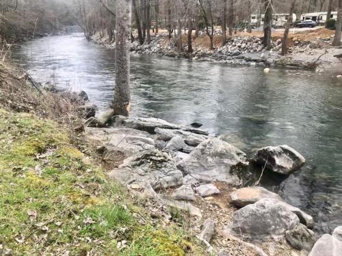 River Dreaming - image 14