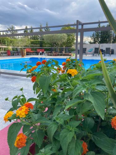 Les Aubuns Country Hotel - image 6