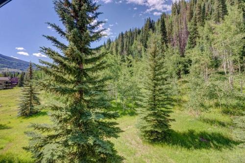 Renovated Condo with Deck - 7 Mins to Vail Village! - image 7