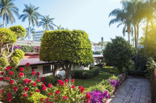 Gamma Cuernavaca Puerta Paraiso - image 8