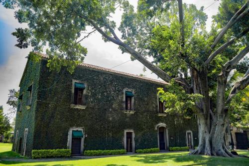 266621797 Fiesta Americana Hacienda San Antonio El Puente Resort & Spa