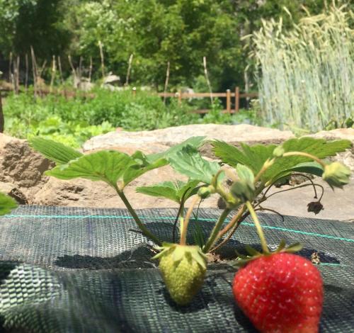 Appartamento Casa Weisstor con patio, giardino e orti vista Monte Rosa