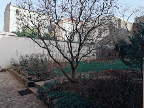 Surrounding environment, Studio situe dans un quartier calme et residentiel a Montrouge a seulement 2 minutes du metro in Montrouge