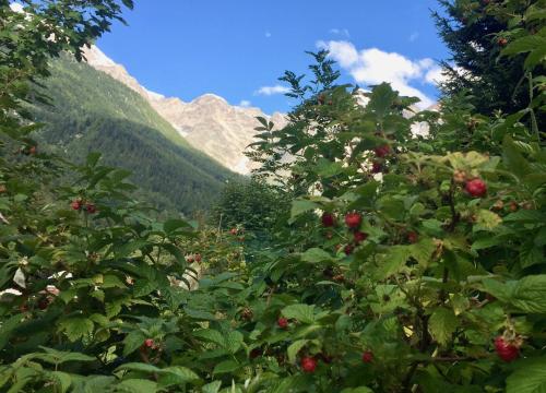 Appartamento Casa Weisstor con patio, giardino e orti vista Monte Rosa