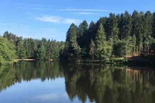 Forest of Dean Country Cottage