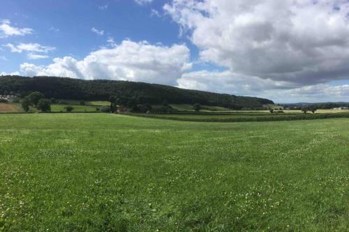 Forest of Dean Country Cottage