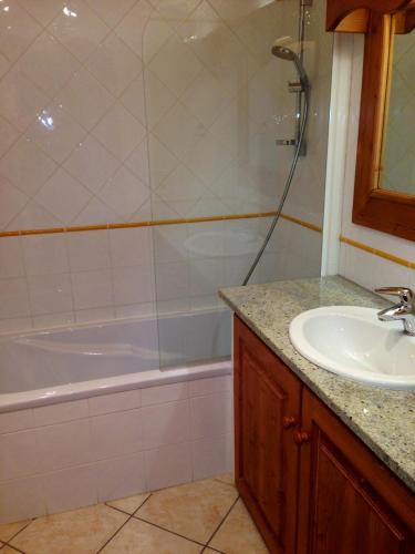 One-Bedroom Apartment (4 Adults) image 4