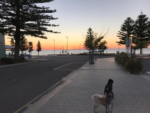 BIG4 Ceduna Tourist Park