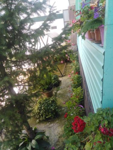 Happy family Guest House
