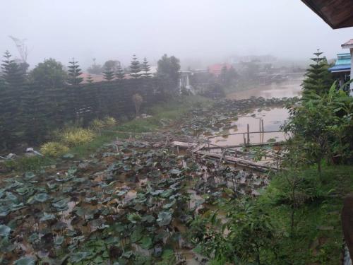 Maan Mork Khao Kho