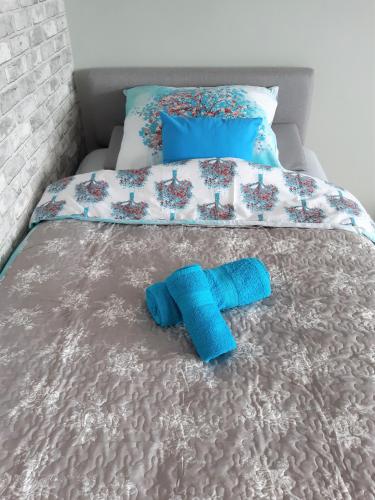Apartamencik w centrum