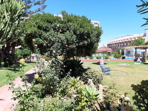 Carihuela Palace 5