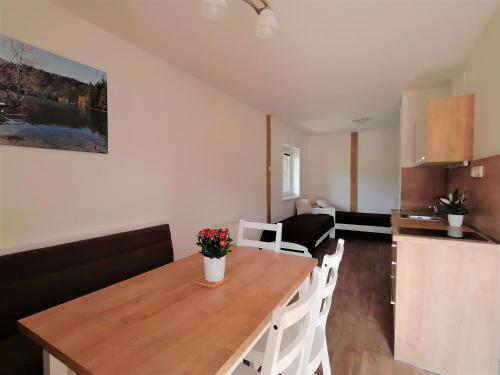 Küche, Čertova chata - apartmán Čerťák (Certova chata - apartman Certak) in Zelezna Ruda