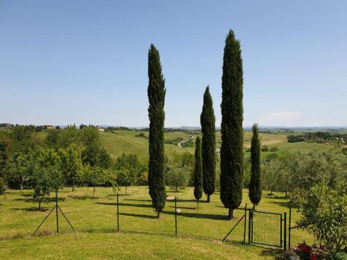 Podere Piazza Siena