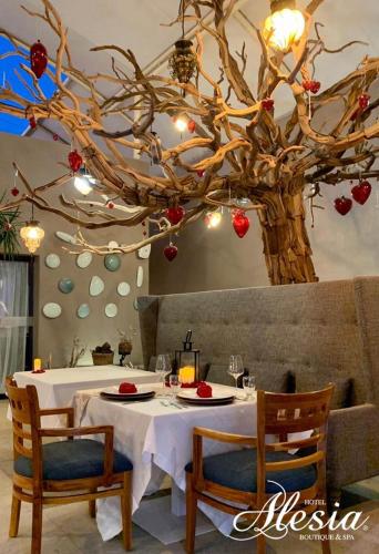 Alesia - Boutique Hotel & Spa, Aguascalientes (foto 10)