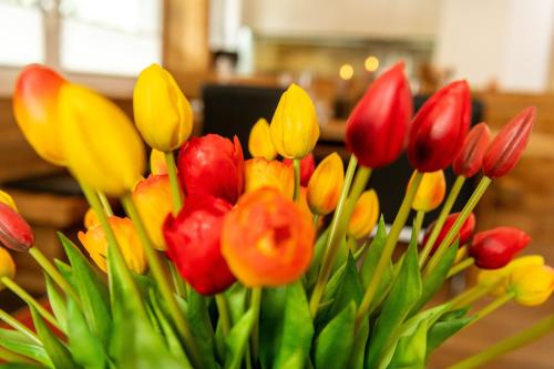 Ferienwohnung Haus Mia - image 13