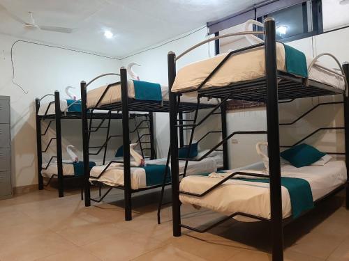 Hostal & Hotel Casa Fernanda
