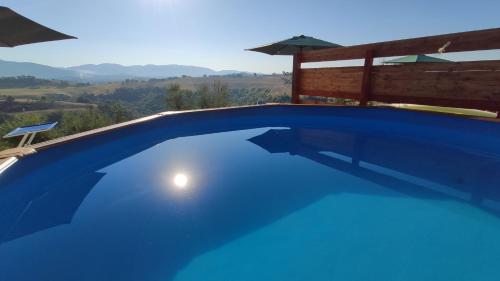 Swimming pool, Corte Buenavista in Magliano Sabina