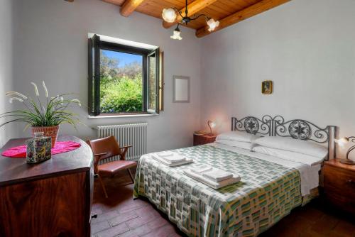 Agriturismo Borgo degli ulivi - image 9