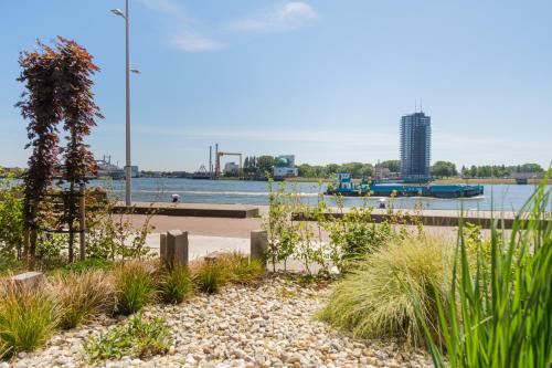 B&B Maasview, Rotterdam