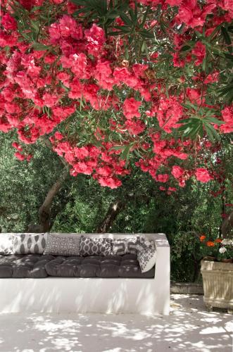 La Casa del Gelso gîte à louer Brucanuova