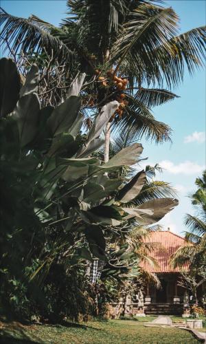 Ubud Hotel & Villas