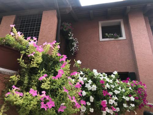 Casa del Balcone Fiorito 4