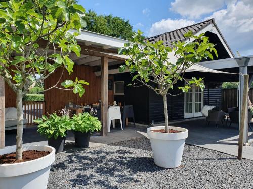 ทัศนียภาพภายนอกโรงแรม, B&B Drenthe in เวสเตอร์บอร์ก