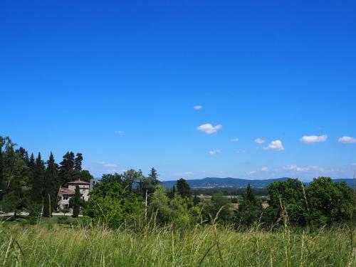 La Cardinale photo 22