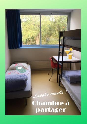 Auberge de Jeunesse HI Lorient - image 14