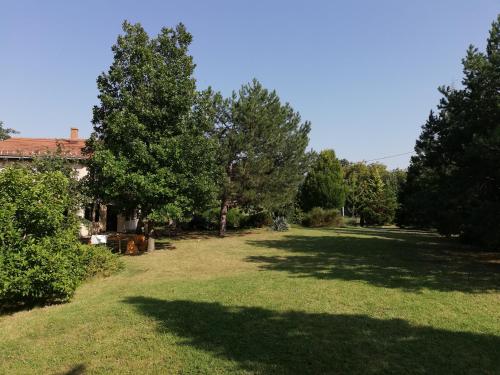 Vila Timok - image 12