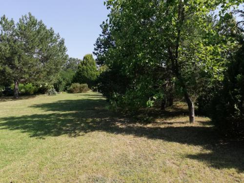 Vila Timok - image 4
