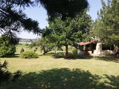 Vila Timok - image 9