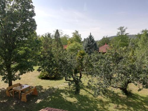 Vila Timok - image 7