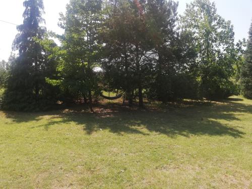 Vila Timok - image 5