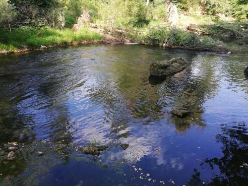Vila Timok - image 14