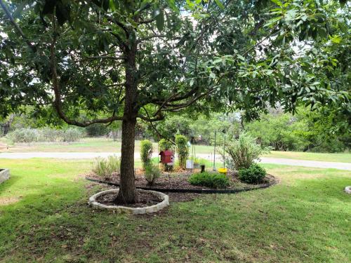 Hill Country Haute n Haus Relax and Renew in Fischer, USA