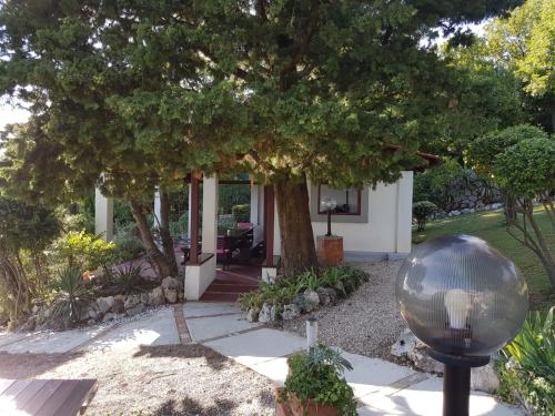 Apartments Villa Dora - image 7