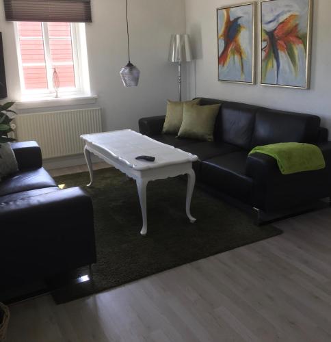 Lejlighed ved Kongeåen - image 5