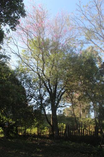 Pousada rotas e ritmos, São Paulo (fotografie 10)