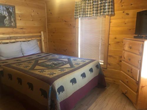 Black Bears Den - image 12