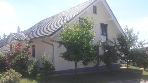المنظر الخارجي, Ferienwohnung Schwarzwald-Baar Blick in دوناويشينجين
