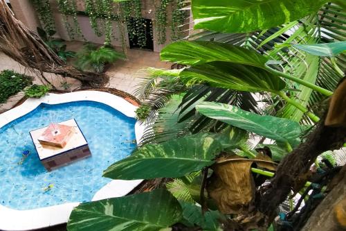 Hotel Colonial Cancun - image 2