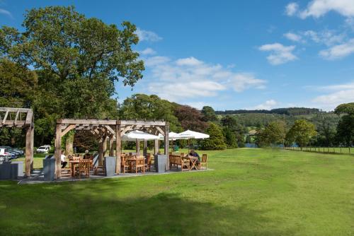 The Coniston Inn - image 6